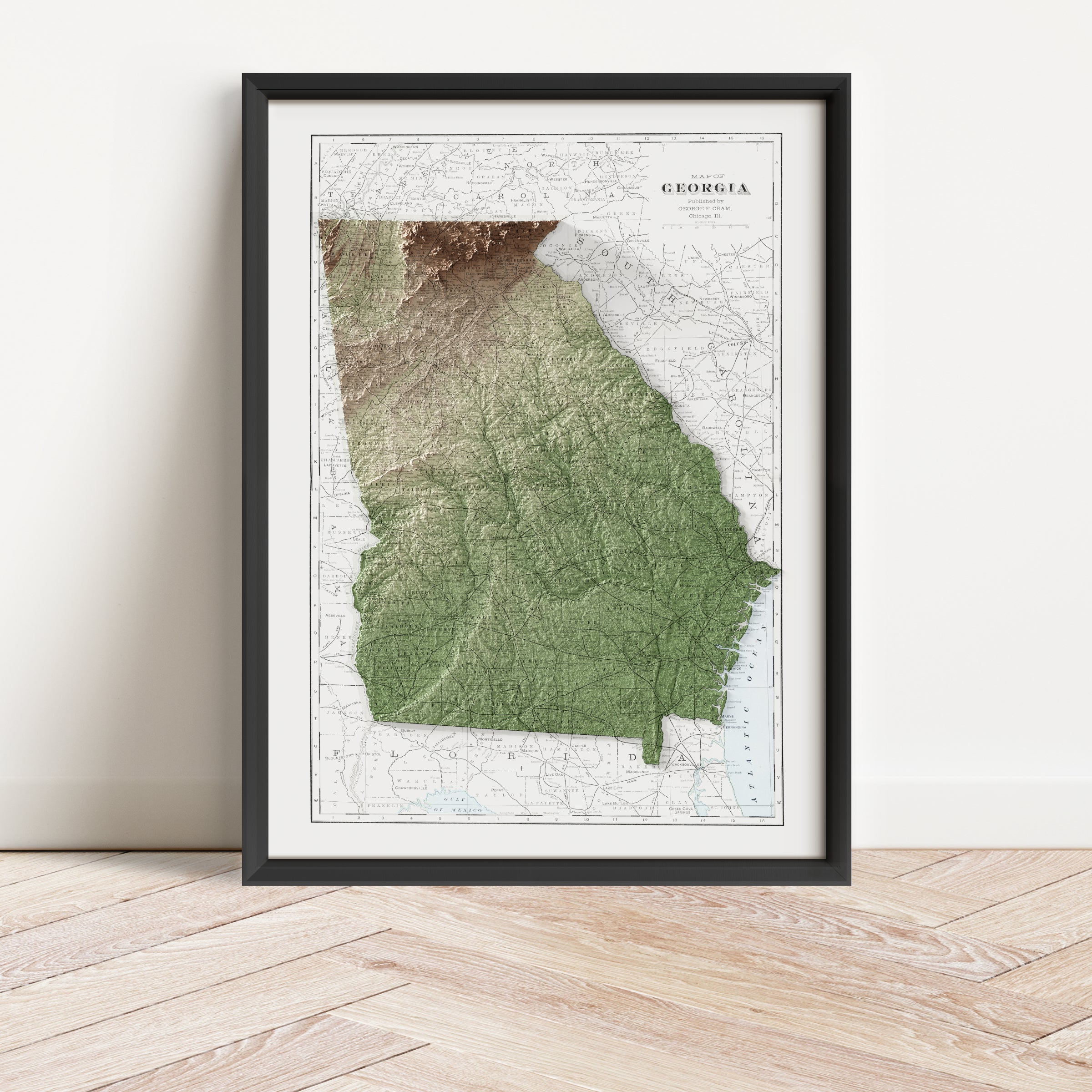 Georgia Vintage Map Print – 1901 Relief Edition