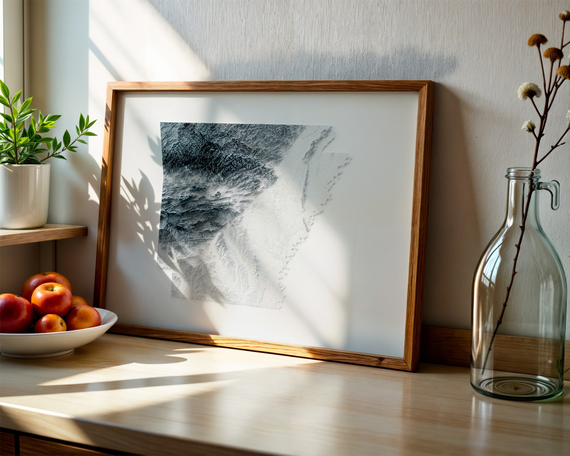 Framed artwork of a topographic map of Arkansas on a desk with plants.