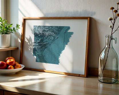 Framed artwork of a topographic map of Arkansas on a desk with plants.