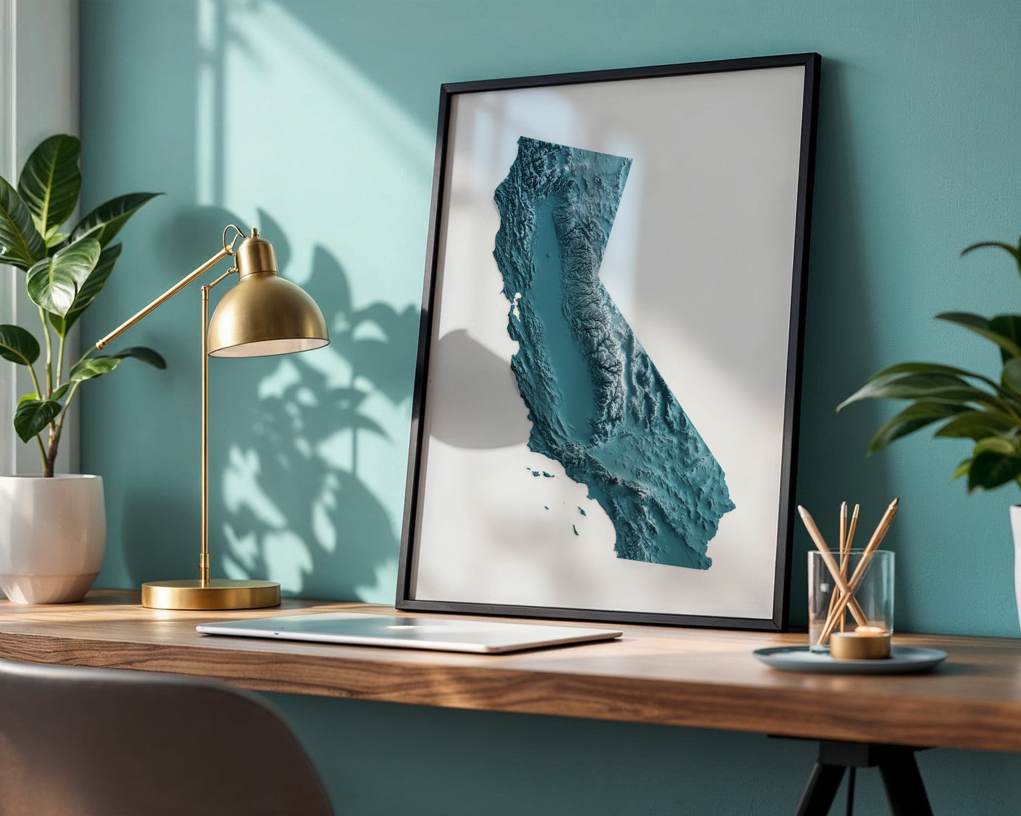 Framed artwork of a topographic map of California on a desk with a lamp and plants.