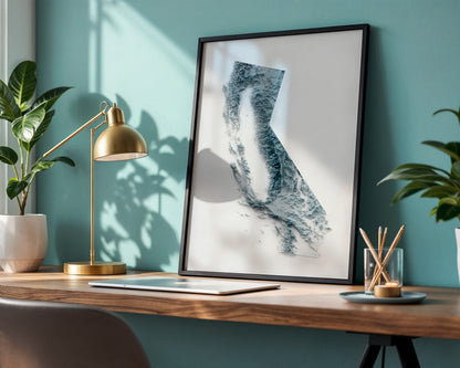 Framed artwork of a topographic map of California on a desk with a lamp and plants.